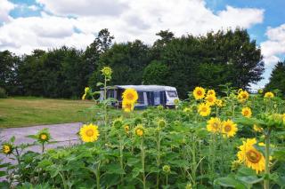Camping de Betovering - Zeewolde - 8