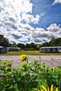 Camping de Betovering - Zeewolde - 6