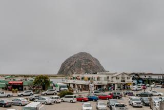 Morro Shores Inn And Suites - Morro Bay - 2