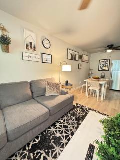 1 STATE FAIR l DT Dallas l FIFA READY l Staycation 1Bd1Ba - 9