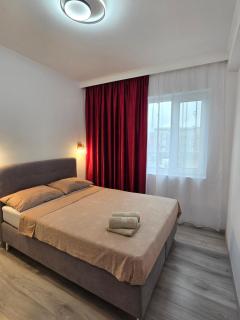 Jessy - Jes Lux Apartments Free Private Parking - Timişoara - 6