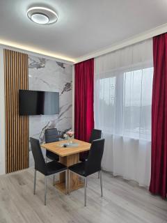 Jessy - Jes Lux Apartments Free Private Parking - Timişoara - 0