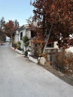 Apartments Zorica - Marusici - 0