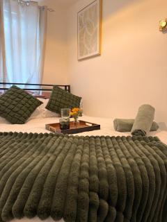 Flat in Manchester - Dudley's Dove - Manchester - 7