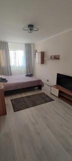 Studio Constanta - 4