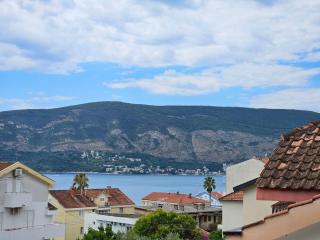 Penthouse apartment Mimoza - Herceg-Novi - 9
