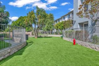 Global Luxury Suites in LA's Seaside - Los Angeles - 7
