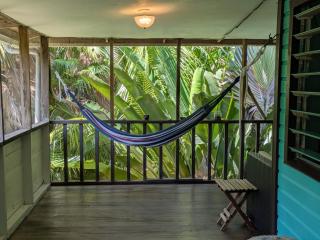 Winters Avalon - Maya Beach - 9