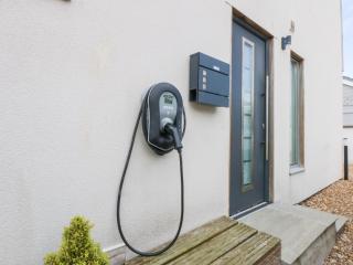 Shearwater - Rhosneigr - 8