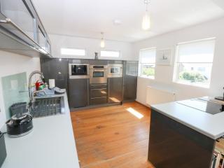 Shearwater - Rhosneigr - 1