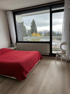 Spacieux et confortable avec piscine - Chamrousse - 0