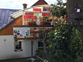 Apartmány pod Lípami - Harrachov - Harrachov - 0