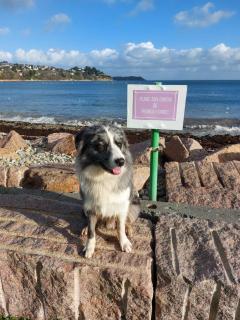 Maison de village au Linkin - 6