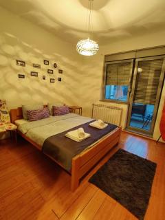 Djurdja apartment, free parking - Novi Sad - 3