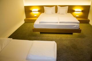 Hotel Silva - Timişoara - 4