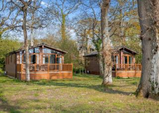 Wareham Forest Lodge Retreat - 8