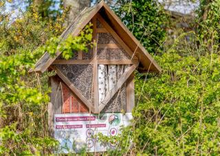 Wareham Forest Lodge Retreat - 1