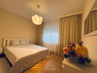 Serafina central Apartment - Satu Mare - 8
