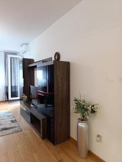 Apartman Phoenix - 3