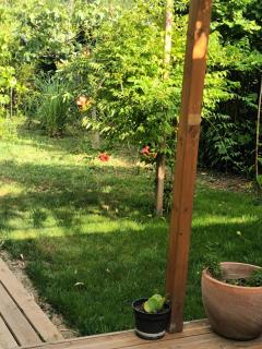 Chalet Tropical - Les Arcs-sur-Argens - 4