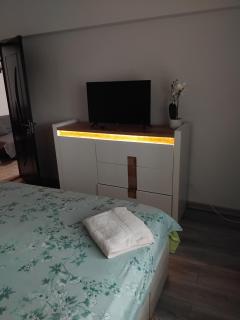 Apartament Manu Tg Neamt - 3
