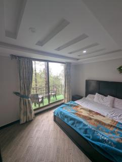 Galiyat Hilton apartment and hotel - Ayubia - 0