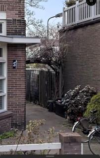 Studio marterstraat Nijmegen - 6