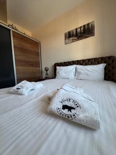 Black Bear Apartment - Zlatibor - 6