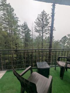 Galiyat Hilton apartment and hotel - Ayubia - 3