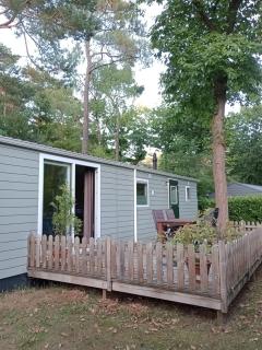 Tiny cabin Koolmees op de veluwe - Nunspeet - 3