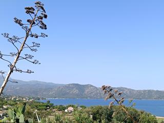 studio cosy vue mer - Patrimonio - 5