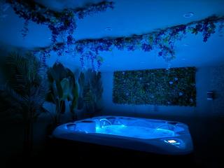 Domaine Le Rocher d Argent avec Piscine Extérieur ,Jacuzzi Intérieur et Salle de jeux - Berre-les Alpes - 6