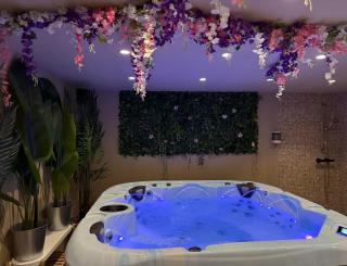 Domaine Le Rocher d Argent avec Piscine Extérieur ,Jacuzzi Intérieur et Salle de jeux - Berre-les Alpes - 9