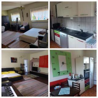 Casa la Helesteu - 9