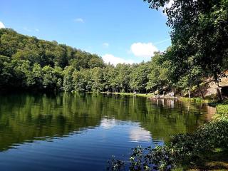 Nature Park View - 9