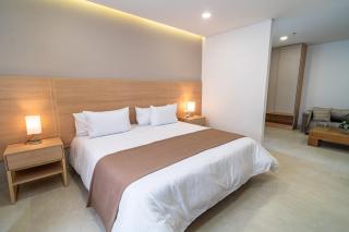 Hotel San Martin Popayan - Popayan - 1