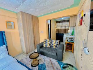 Studios in roysambu - Nairobi - 5