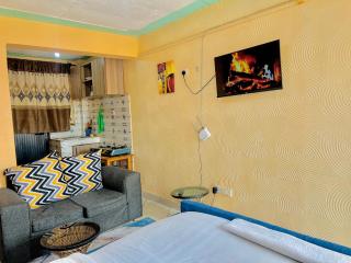 Studios in roysambu - Nairobi - 3