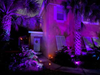 Disney Universal Theme Home! Private Pool! - 0