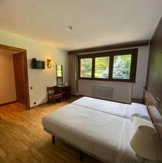 Hotel Els Avets - Sorpe - 5