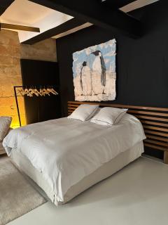 La Suite 4 Dauphins- Aix en Provence - 7