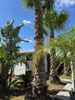 Apulian Sea House - 2