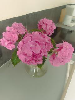 Duplex dans belle propriété avec piscine - 9