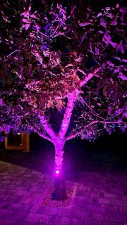 Wellness-Villa-Nin - Nin - 4