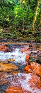 hotel fazenda ctk - 1