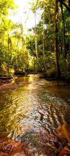 hotel fazenda ctk - 2