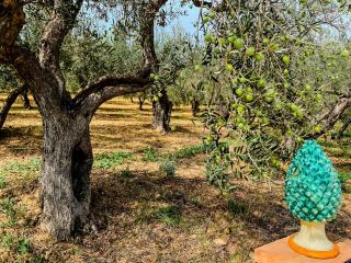 Tenuta Bartoli - 3