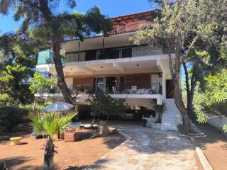 Silver Paradeisi Apartment - Palaia Fokaia - 4