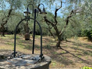 Ca' Fondi - Country Retreat - Soriano nel Cimino - 3