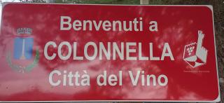 Comfort &Relax B&B&Spa - Villa Rosa - 7